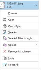 Menu options that display when you select the dropdown icon